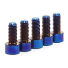 Five Burnt Blue Titanium Bolts on a White Background